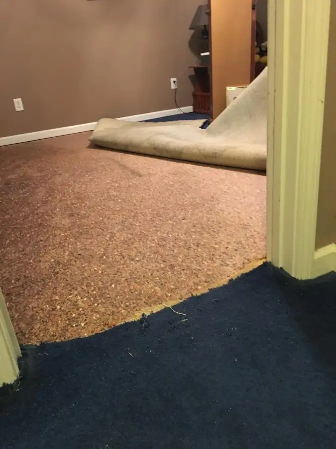 Carpet pad removal revealing water damage during Drying & Dehumidification in Homewood