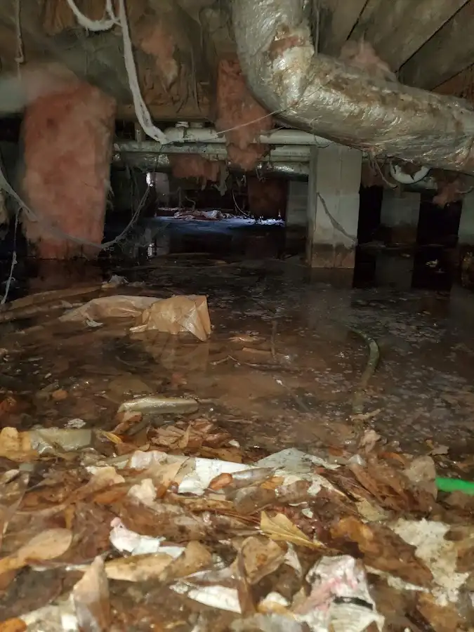 Crawl space flood assessment for Commercial Water Damage Restoration in Homewood