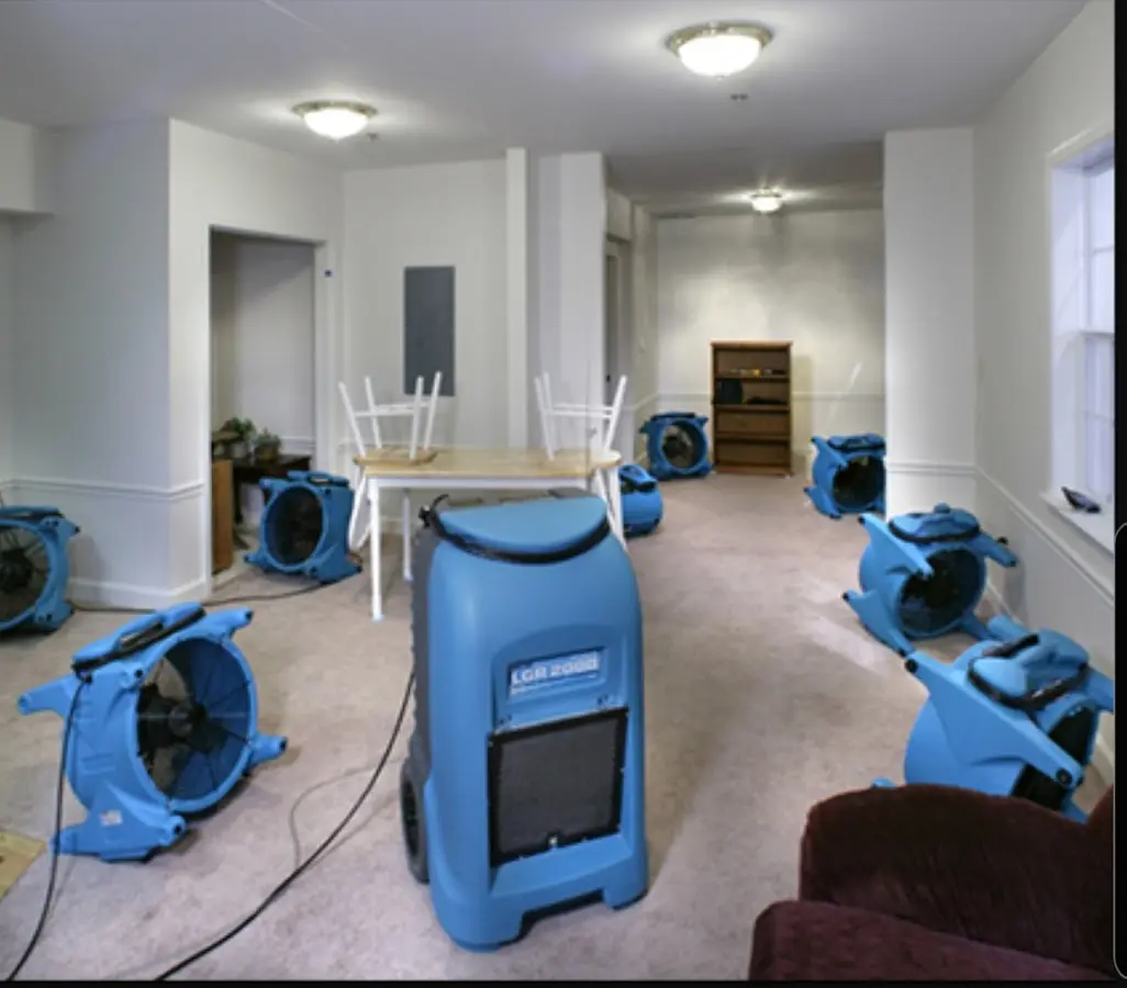 Air movers and dehumidifier setup for Water Extraction & Removal in Homewood